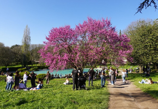 Roma Primavera 02